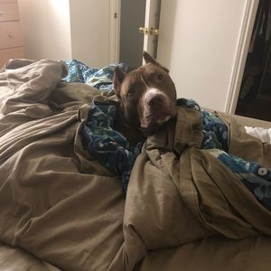 Meet your Posher, Bethany